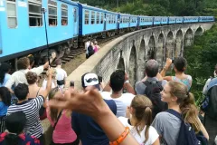Ella-train-at-nine-arches-bridge