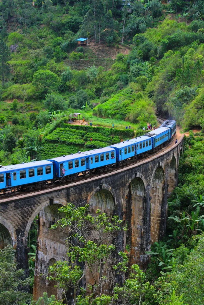 Guided tours at Ella Sri Lanka_Ella train ride
